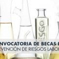 X CONVOCATORIA DE BECAS I+D EN PRL