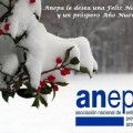 anepa_navidad_2015