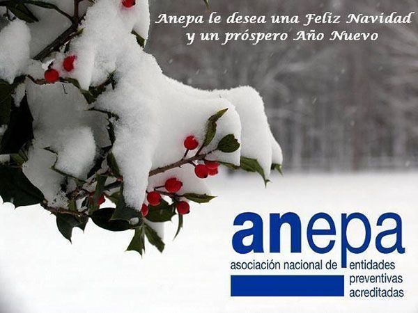ANEPA les desea una FELIZ NAVIDAD y Salud, Seguridad y Prosperidad para el 2016