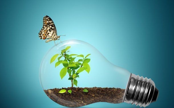 Efectos del cambio climático en la seguridad laboral #Video