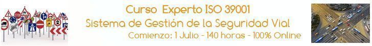 experto_39001_2