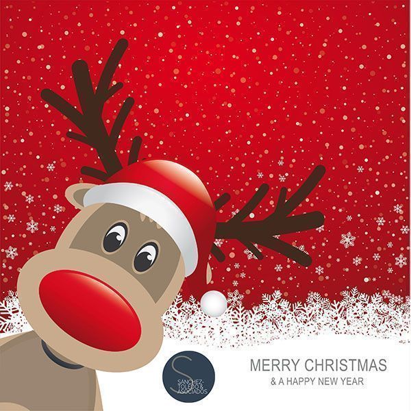 Sánchez-Toledo & Asociados les desea Feliz Navidad