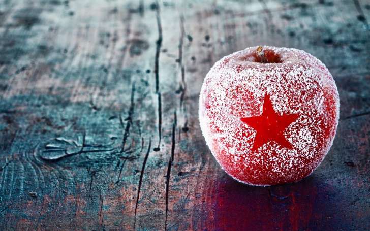 Nuestros mejores deseos navideños