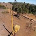 drones_sector_forestal