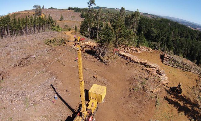 drones_sector_forestal