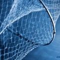 red_pesca