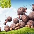 evaluación riesgos ergonómicos