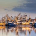 buques de pesca