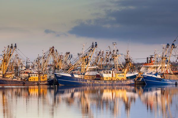 buques de pesca