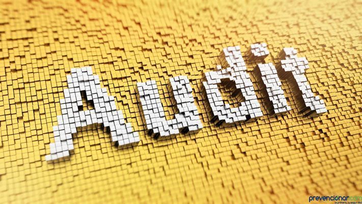 ¿Qué características debe tener un auditor en sistemas de gestión en Prevención de Riesgos Laborales? (I)