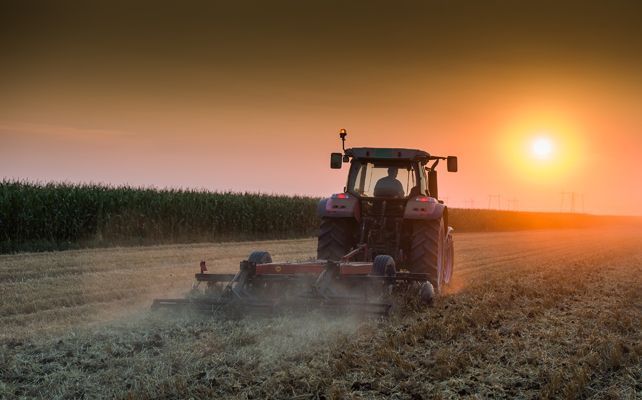 Guía para la prevención y control del COVID-19 en las explotaciones agrícolas e industrias agroalimentarias en la Región de Murcia
