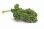 Kale, la col anticancerígena