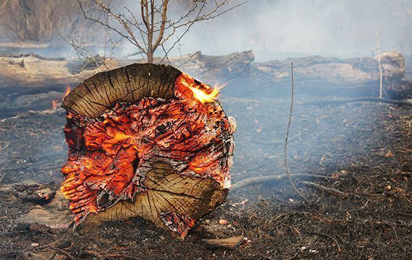 Manual de buenas prácticas en incendios forestales