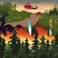 incendios_forestales