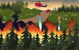 Seguridad Psicológica en Servicios de Bomberos Forestales: una aproximación al constructo en la PRL