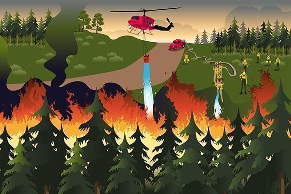 Seguridad Psicológica en Servicios de Bomberos Forestales: una aproximación al constructo en la PRL
