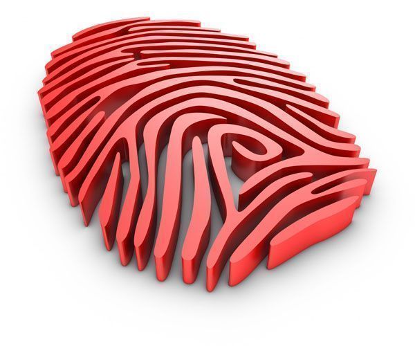 CSI_Investigación