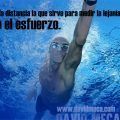 david_meca