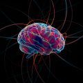 cerebro