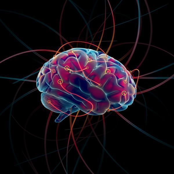 cerebro