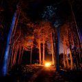 incendios_forestales