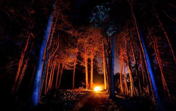 ¿Cómo acabar con los incendios forestales  en España?