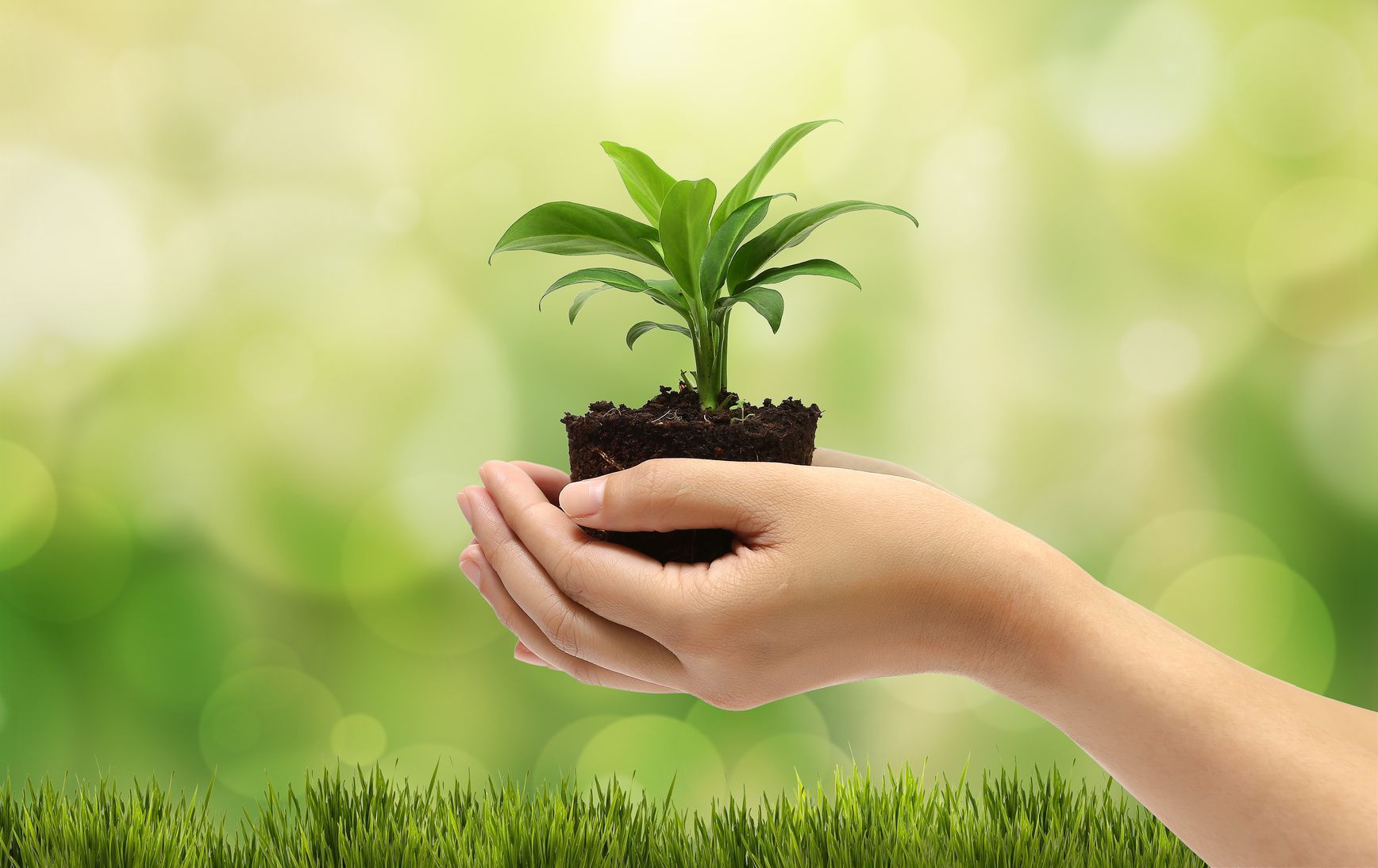 Proyecto de estrategia mundial de la OMS sobre salud, medio ambiente y cambio climático