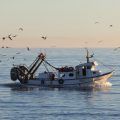 pesca_prevención_de_riesgos