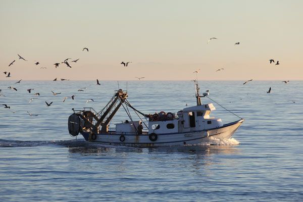 pesca_prevención_de_riesgos