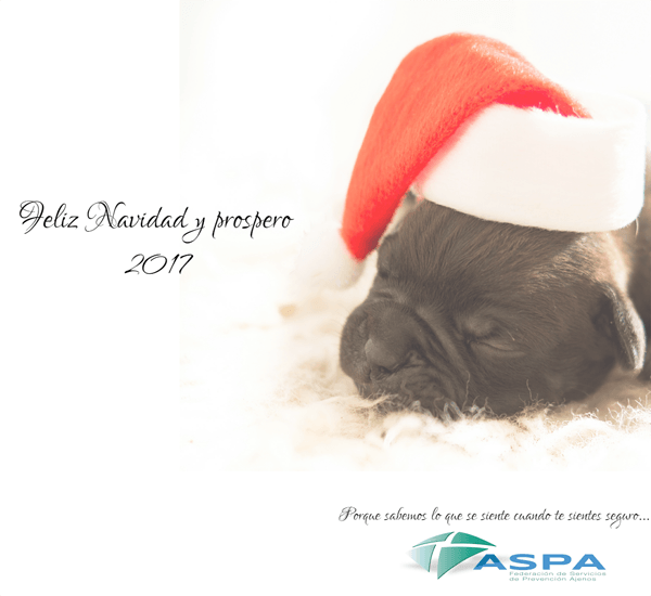 La Federación ASPA les desea unas Felices Fiestas y un Próspero 2017
