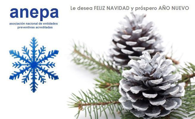 Anepa les desea FELIZ NAVIDAD y próspero AÑO NUEVO