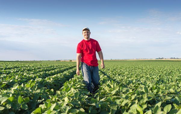 Evaluación de riesgos interactiva para el sector agrario (OiRA)
