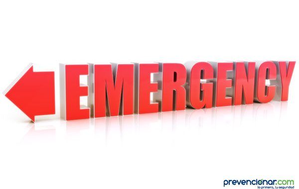 Decreto Legislativo 1/2017, Ley de Gestión de Emergencias