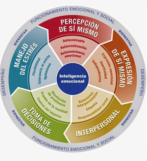 Las 5 Competencias de la Inteligencia Emocional que debes conocer