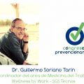 Guillermo_Soriano_Tarín_Congreso_Prevencionar