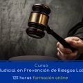 Curso OnLine: Perito Judicial en Prevención de Riesgos Laborales