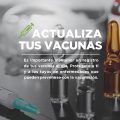 Actualiza tus Vacunas