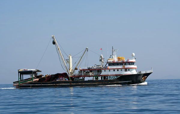 Nuevas directrices sobre el reconocimiento médico de los pescadores adoptadas por la OIT