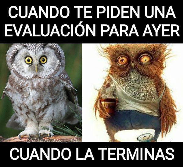 MemesPRL: Cuando te piden una evaluación de riesgos para ayer.........