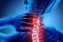 La prevención, es la mejor postura. Cuaderno sobre Trastornos Musculoesqueléticos