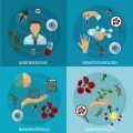 nanomateriales