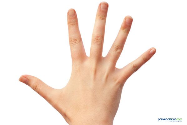 dedos mano