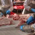 industria alimentaria