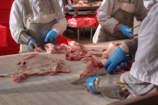 industria alimentaria