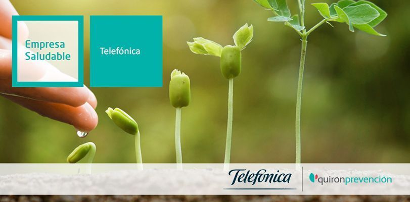 Empresa Saludable: Telefónica
