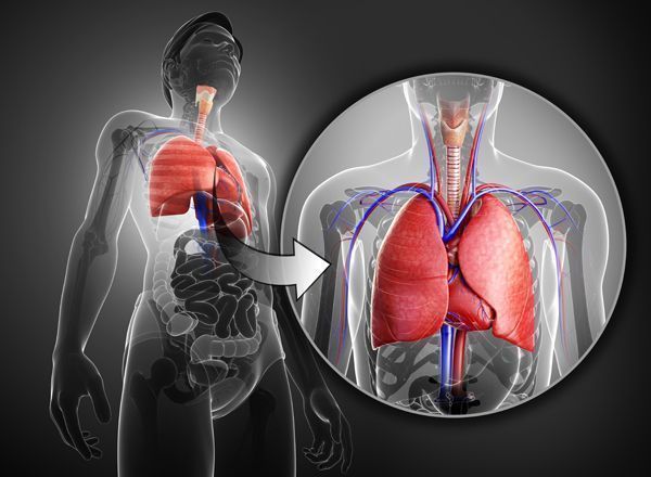 Enfermedades profesionales del aparato respiratorio
