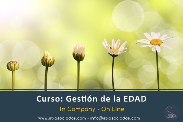 Curso: Gestión de la Edad