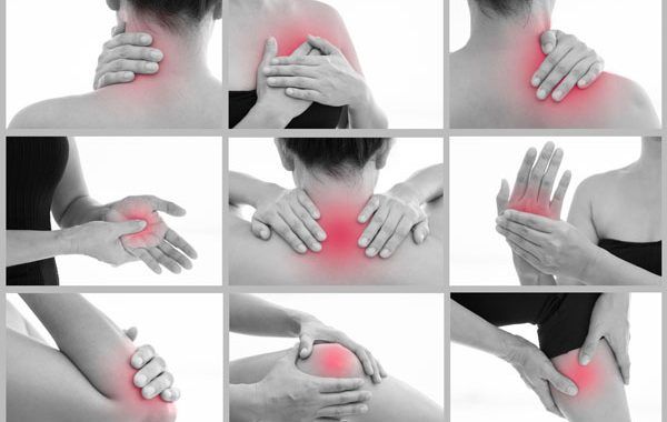 Programa de Salud para la Prevención de los Trastornos Musculoesqueléticos en la empresa