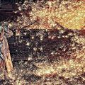 Mutualia premiará las fotografías que mejor representen los valores de la Prevención de Riesgos Laborales