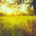 naturaleza